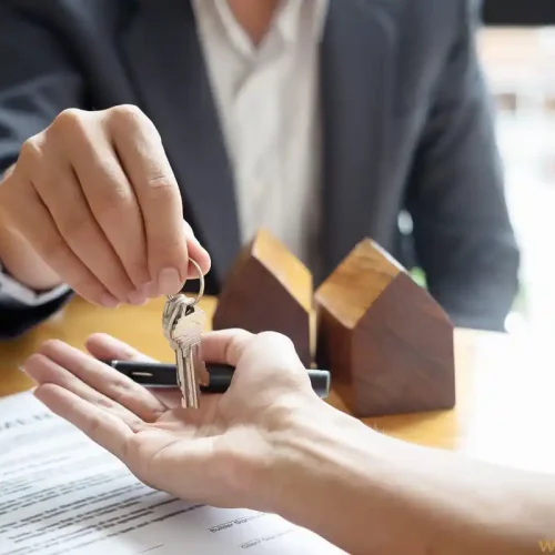 desarrollador inmobiliario